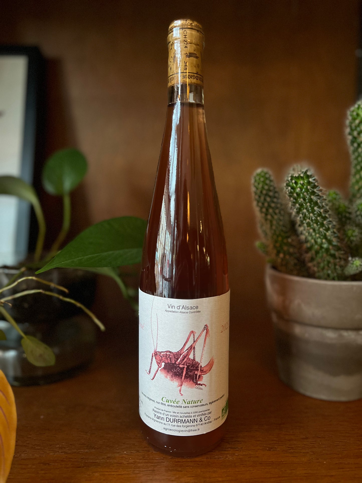2023 Pinot Noir, Pinot Gris 'Rosé Négoce', Durrmann, Alsace, France
