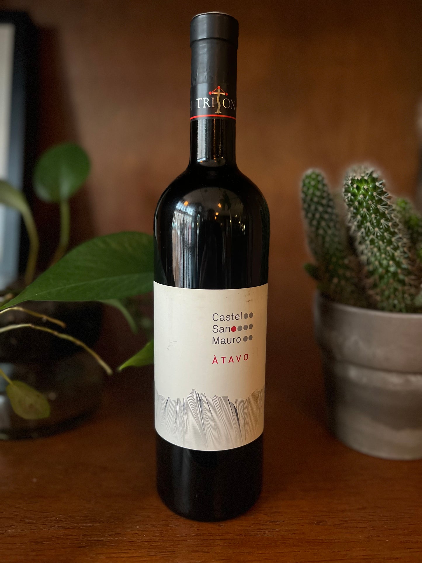 2015 Merlot 'Atavo' Castel San Mauro, Friuli, Italy