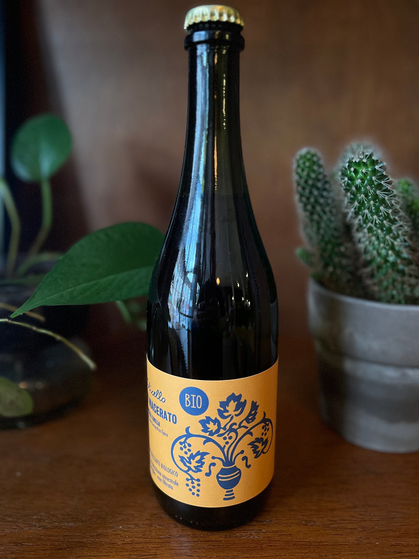 2022 Trebbiano, Montuni, Muscat 'Il Macerato' Folicello, Emilia-Romagna, Italy
